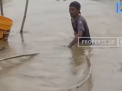 DEMI BERTAHAN HIDUP AKIBAT BANJIR, WARGA BERGEGAS MENCARI IKAN DENGAN PERANGKAP TRADISIONAL