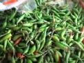 SELAMA BULAN RAMADHAN, HARGA BAHAN POKOK SEPERTI CABE MENURUN