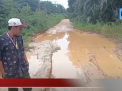 JALAN RUSAK DI MUARO JAMBI JADI OBJEK FOTO SILFIE PENGENDARA