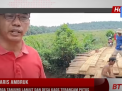 JEMBATAN NYARIS AMBRUK, AKSES UTAMA WARGA TANJUNG LANJUT DAN DESA KAOS TERANCAM PUTUS