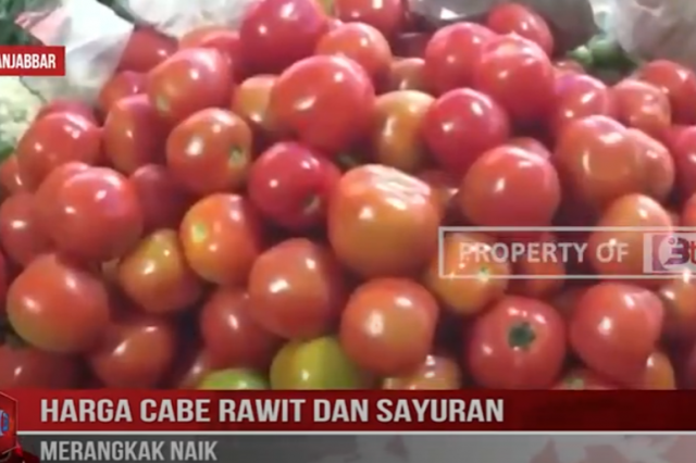 HARGA CABE RAWIT DAN SAYURAN MERANGKAK NAIK