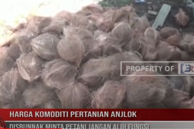 HARGA KOMODITI PERTANIAN ANJLOK,DISBUNNAK MINTA PETANI JANGAN ALIH FUNGSI