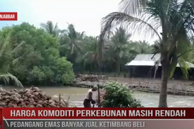 HARGA KOMODITI PERKEBUNAN MASIH RENDAH PEDANGANG EMAS BANYAK JUAL KETIMBANG BELI