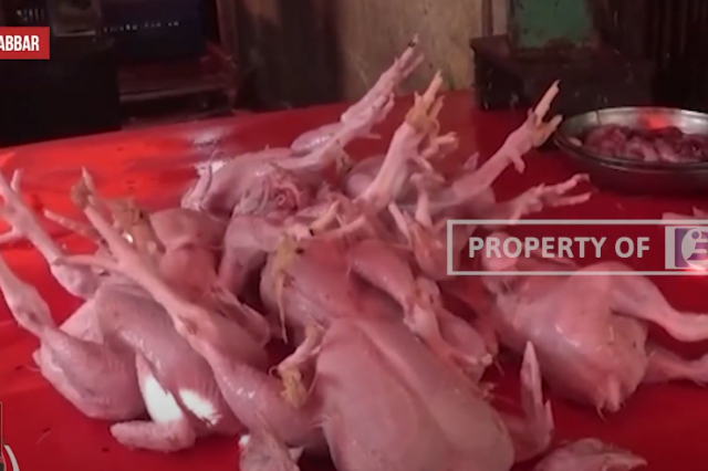 AWAL TAHUN, PEDAGANG SEBUT HARGA AYAM POTONG BERANGSUR TURUN