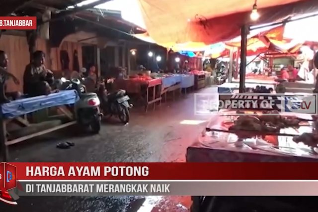 HARGA AYAM POTONG DI TANJABBARAT MERANGKAK NAIK