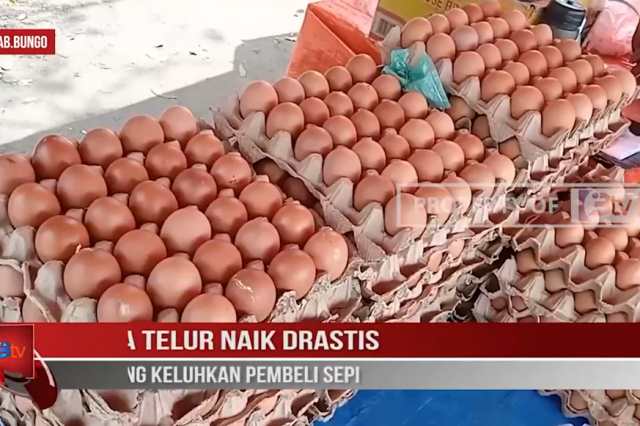 HARGA TELUR NAIK DRASTIS, PEDAGANG KELUHKAN PEMBELI SEPI