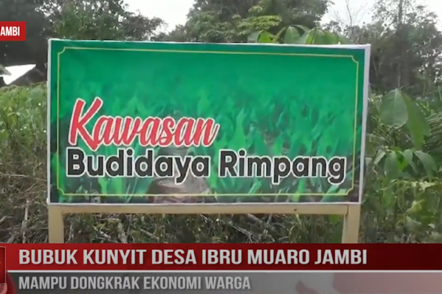 BUBUK KUNYIT DESA IBRU MUARO JAMBI MAMPU DONGKRAK EKONOMI WARGA