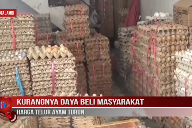 KURANGNYA DAYA BELI MASYARAKAT, HARGA TELUR AYAM TURUN