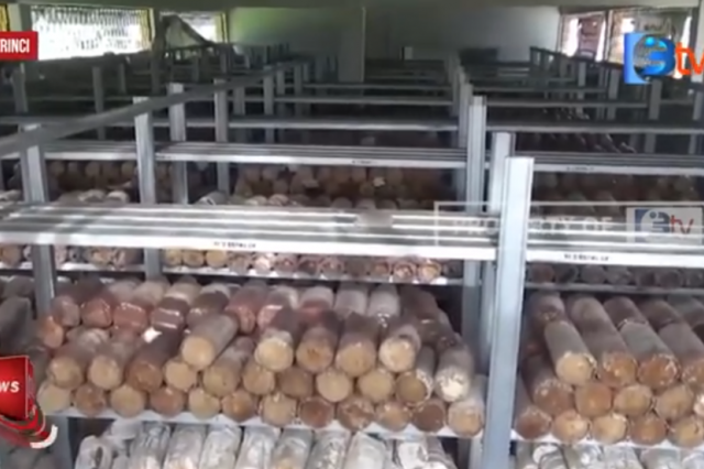 MANFAATKAN RUANG KOSONG TEMPAT BUDIDAYA JAMUR TIRAM DI KERINCI HASILNYA MENJANJIKAN