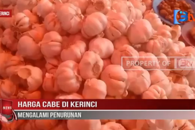HARGA CABE DI KERINCI MENGALAMI PENURUNAN