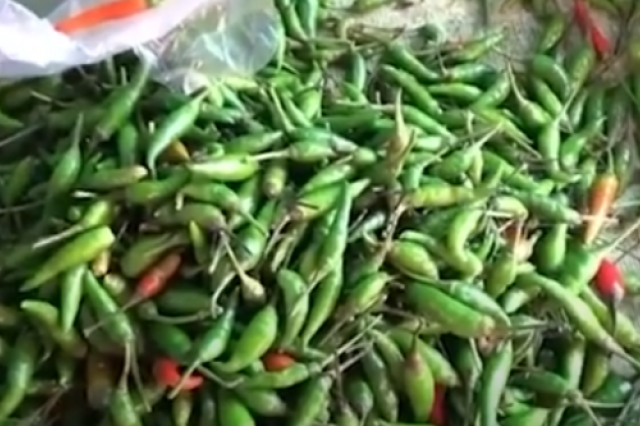 SELAMA BULAN RAMADHAN, HARGA BAHAN POKOK SEPERTI CABE MENURUN