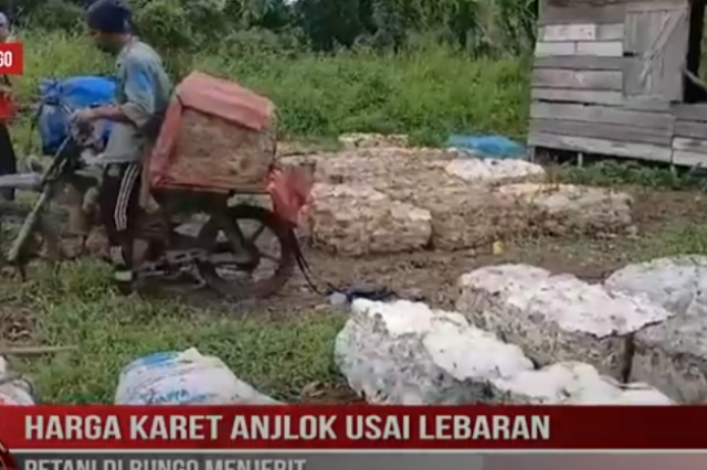 HARGA KARET ANJLOK USAI LEBARAN, PETANI DI BUNGO MENJERIT