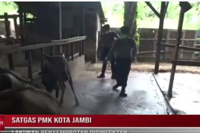 SATGAS PMK KOTA JAMBI LAKUKAN PENYEMPROTAN DISINFEKTAN